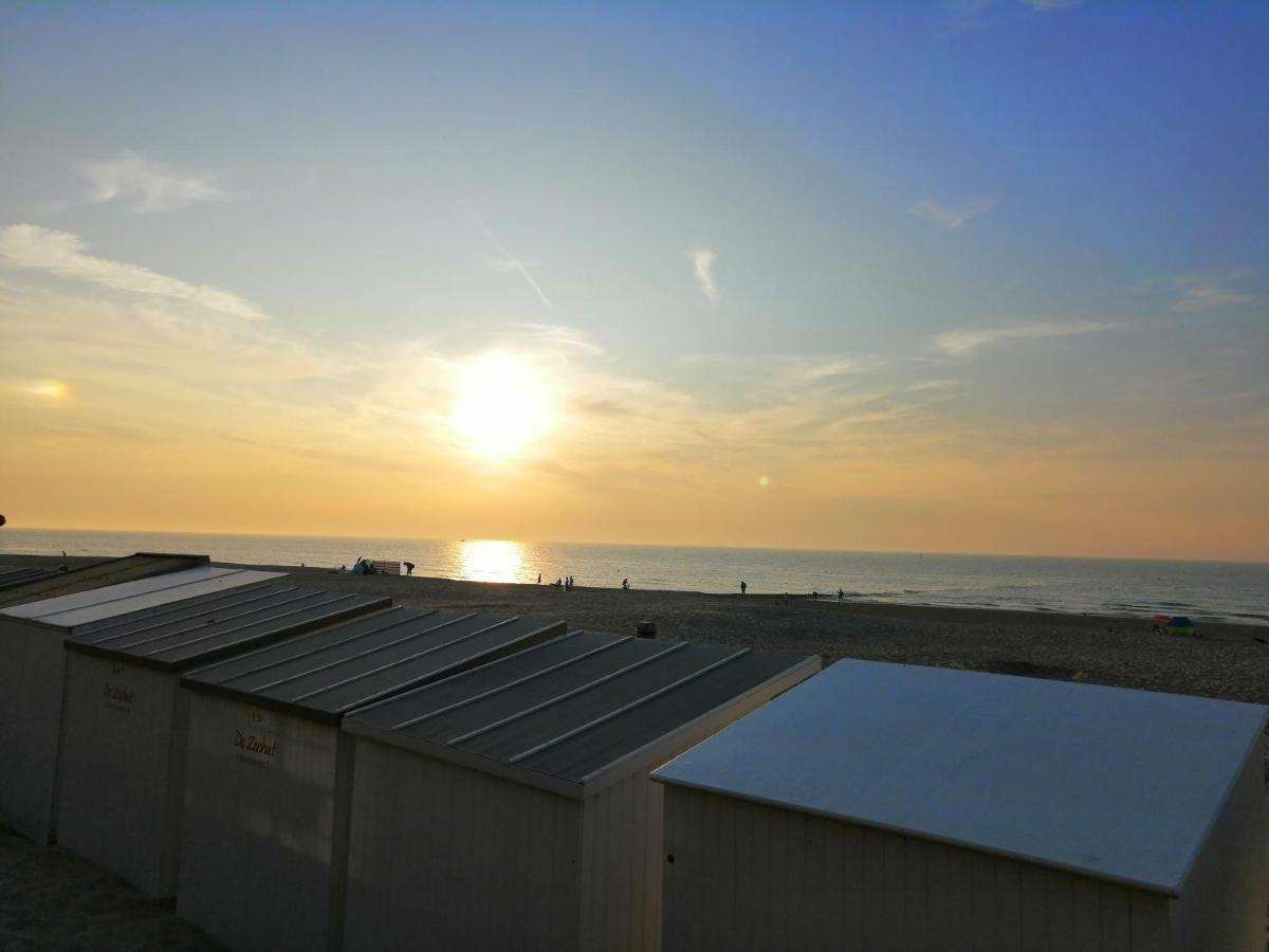 Large 800m From The 90 Square Meters * Ostend