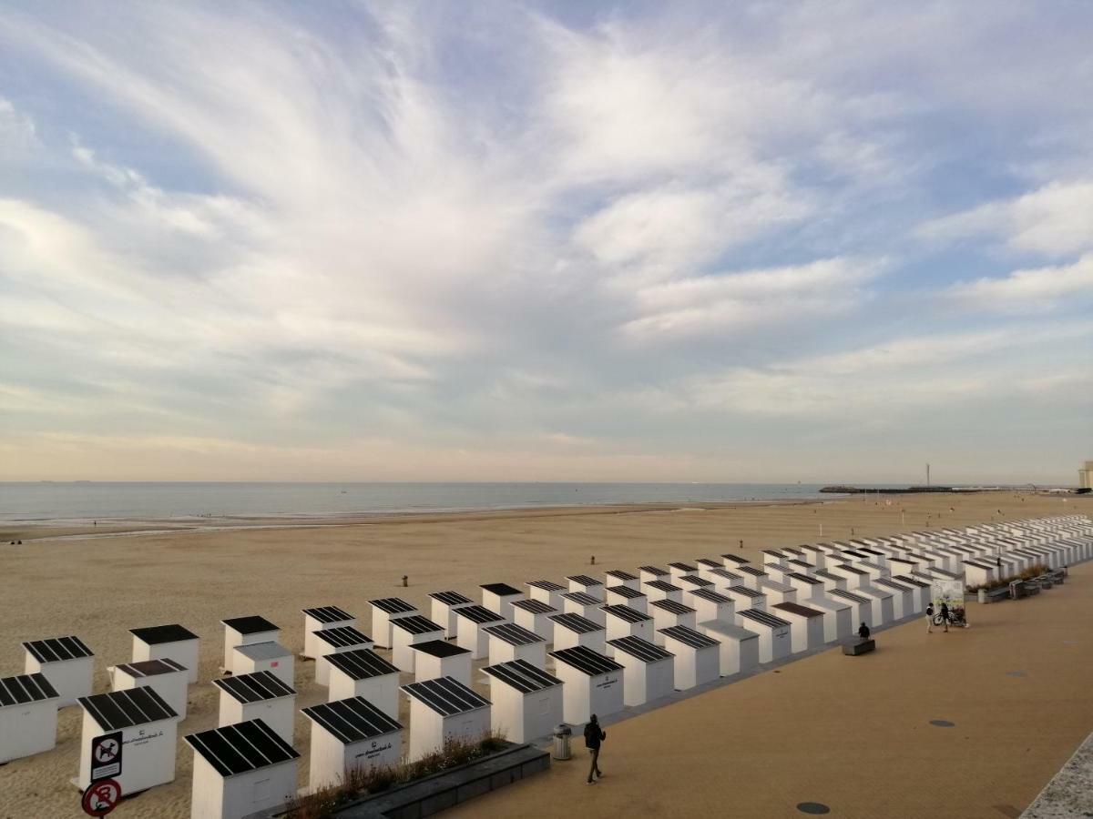 Large 800m From The 90 Square Meters * Ostend